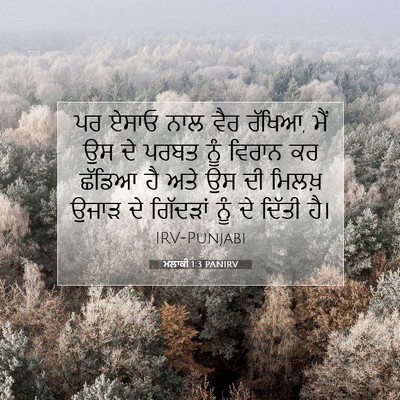 Picture 07 - ਮਲਾਕੀ 1:3 PANIRV - ਪਰ ਏਸਾਓ ਨਾਲ ਵੈਰ - Bible Verse Picture