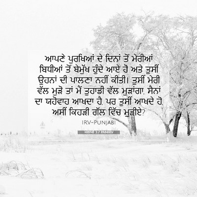 Picture 07 - ਮਲਾਕੀ 3:7 PANIRV - ਆਪਣੇ ਪੁਰਖਿਆਂ ਦੇ - Bible Verse Picture