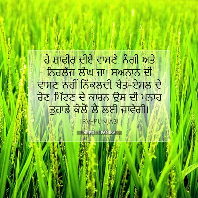 Picture 07 - ਮੀਕਾਹ 1:11 PANIRV - ਹੇ ਸ਼ਾਫੀਰ ਦੀਏ - Bible Verse Picture