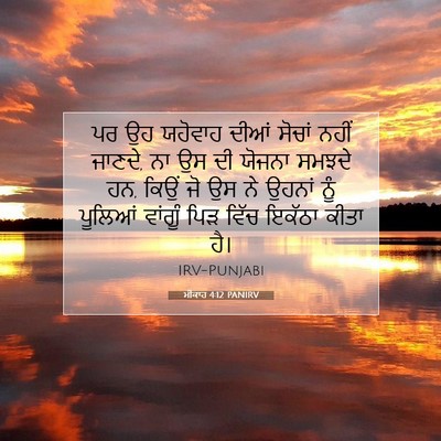 Picture 07 - ਮੀਕਾਹ 4:12 PANIRV - ਪਰ ਉਹ ਯਹੋਵਾਹ ਦੀਆਂ - Bible Verse Picture