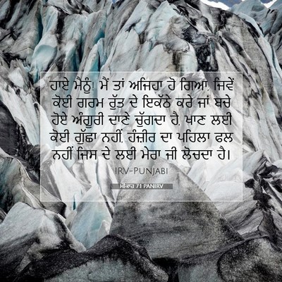 Picture 07 - ਮੀਕਾਹ 7:1 PANIRV - ਹਾਏ ਮੈਨੂੰ! ਮੈਂ ਤਾਂ - Bible Verse Picture