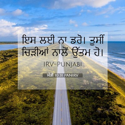 Picture 07 - ਮੱਤੀ 10:31 PANIRV - ਇਸ ਲਈ ਨਾ ਡਰੋ। ਤੁਸੀਂ - Bible Verse Picture
