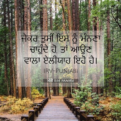 Picture 07 - ਮੱਤੀ 11:14 PANIRV - ਜੇਕਰ ਤੁਸੀਂ ਇਸ ਨੂੰ - Bible Verse Picture
