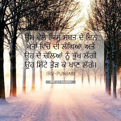 Picture 07 - ਮੱਤੀ 12:1 PANIRV - ਉਸ ਵੇਲੇ ਯਿਸੂ ਸਬਤ ਦੇ - Bible Verse Picture