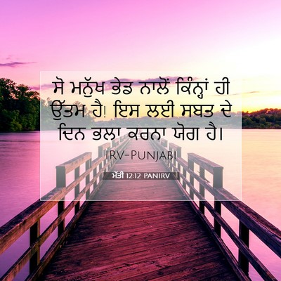 Picture 07 - ਮੱਤੀ 12:12 PANIRV - ਸੋ ਮਨੁੱਖ ਭੇਡ ਨਾਲੋਂ - Bible Verse Picture