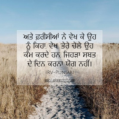 Picture 07 - ਮੱਤੀ 12:2 PANIRV - ਅਤੇ ਫ਼ਰੀਸੀਆਂ ਨੇ - Bible Verse Picture