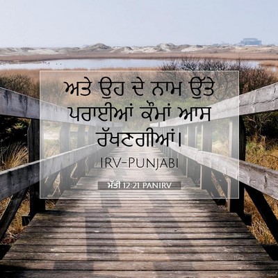 Picture 07 - ਮੱਤੀ 12:21 PANIRV - ਅਤੇ ਉਹ ਦੇ ਨਾਮ ਉੱਤੇ - Bible Verse Picture