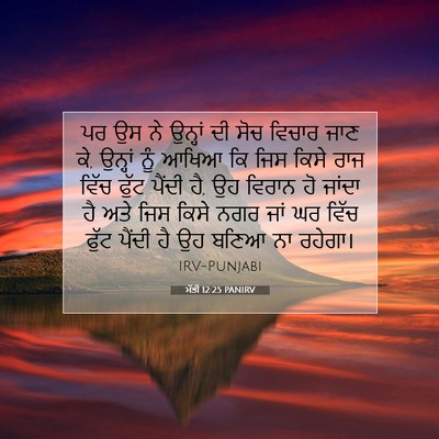 Picture 07 - ਮੱਤੀ 12:25 PANIRV - ਪਰ ਉਸ ਨੇ ਉਨ੍ਹਾਂ ਦੀ - Bible Verse Picture