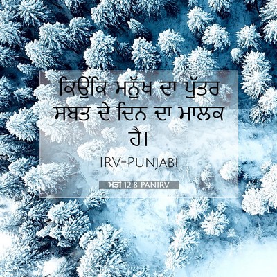 Picture 07 - ਮੱਤੀ 12:8 PANIRV - ਕਿਉਂਕਿ ਮਨੁੱਖ ਦਾ - Bible Verse Picture