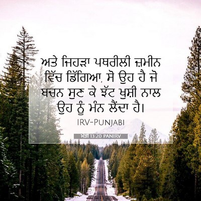 Picture 07 - ਮੱਤੀ 13:20 PANIRV - ਅਤੇ ਜਿਹੜਾ ਪਥਰੀਲੀ - Bible Verse Picture