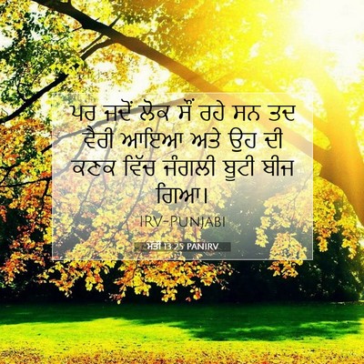 Picture 07 - ਮੱਤੀ 13:25 PANIRV - ਪਰ ਜਦੋਂ ਲੋਕ ਸੌਂ ਰਹੇ - Bible Verse Picture