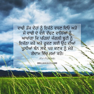 Picture 07 - ਮੱਤੀ 13:30 PANIRV - ਵਾਢੀ ਤੱਕ ਦੋਹਾਂ ਨੂੰ - Bible Verse Picture