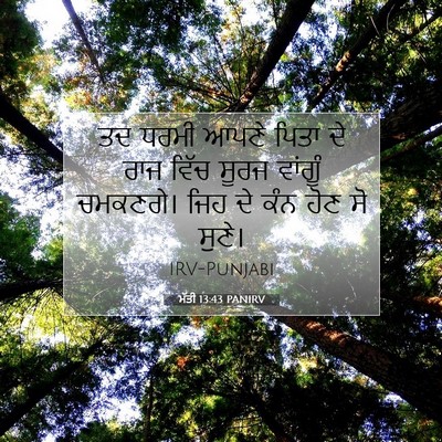 Picture 07 - ਮੱਤੀ 13:43 PANIRV - ਤਦ ਧਰਮੀ ਆਪਣੇ ਪਿਤਾ - Bible Verse Picture