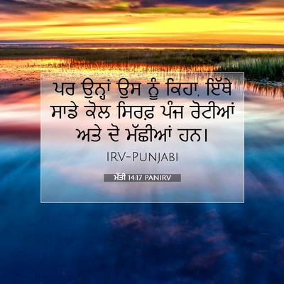 Picture 07 - ਮੱਤੀ 14:17 PANIRV - ਪਰ ਉਨ੍ਹਾਂ ਉਸ ਨੂੰ - Bible Verse Picture