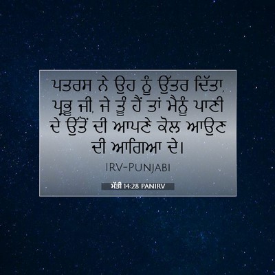 Picture 07 - ਮੱਤੀ 14:28 PANIRV - ਪਤਰਸ ਨੇ ਉਹ ਨੂੰ ਉੱਤਰ - Bible Verse Picture