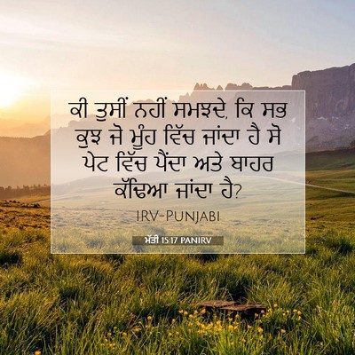 Picture 07 - ਮੱਤੀ 15:17 PANIRV - ਕੀ ਤੁਸੀਂ ਨਹੀਂ - Bible Verse Picture