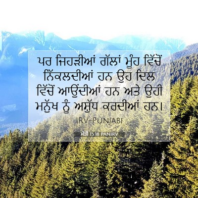 Picture 07 - ਮੱਤੀ 15:18 PANIRV - ਪਰ ਜਿਹੜੀਆਂ ਗੱਲਾਂ - Bible Verse Picture