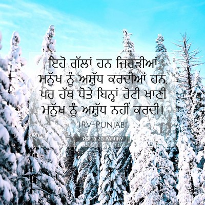 Picture 07 - ਮੱਤੀ 15:20 PANIRV - ਇਹੋ ਗੱਲਾਂ ਹਨ - Bible Verse Picture