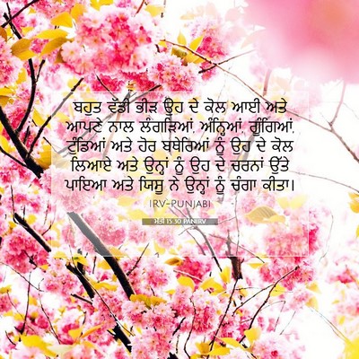 Picture 07 - ਮੱਤੀ 15:30 PANIRV - ਬਹੁਤ ਵੱਡੀ ਭੀੜ ਉਹ ਦੇ - Bible Verse Picture