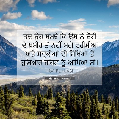 Picture 07 - ਮੱਤੀ 16:12 PANIRV - ਤਦ ਉਹ ਸਮਝੇ ਕਿ ਉਸ ਨੇ - Bible Verse Picture