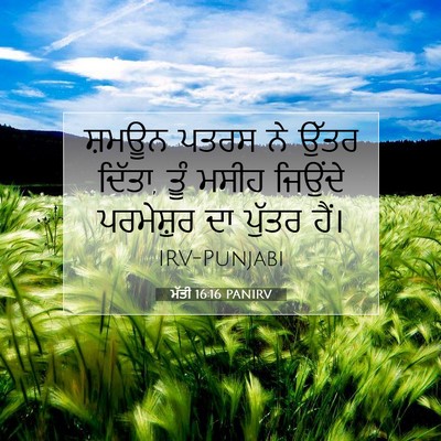 Picture 07 - ਮੱਤੀ 16:16 PANIRV - ਸ਼ਮਊਨ ਪਤਰਸ ਨੇ ਉੱਤਰ - Bible Verse Picture