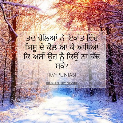 Picture 07 - ਮੱਤੀ 17:19 PANIRV - ਤਦ ਚੇਲਿਆਂ ਨੇ ਇਕਾਂਤ - Bible Verse Picture