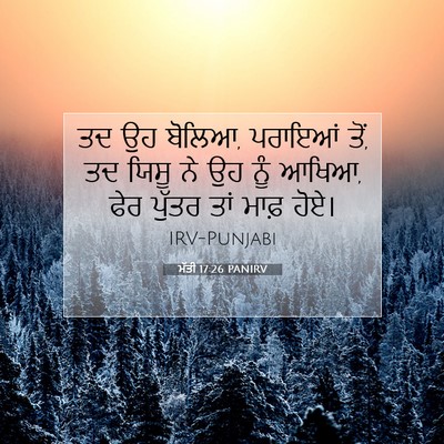 Picture 07 - ਮੱਤੀ 17:26 PANIRV - ਤਦ ਉਹ ਬੋਲਿਆ, ਪਰਾਇਆਂ - Bible Verse Picture