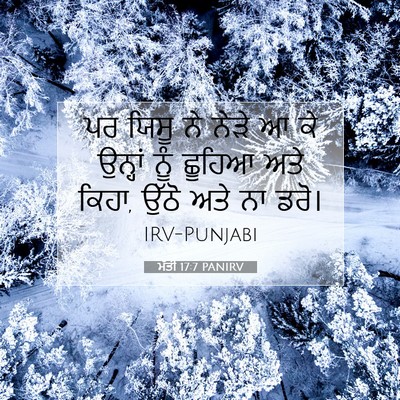 Picture 07 - ਮੱਤੀ 17:7 PANIRV - ਪਰ ਯਿਸੂ ਨੇ ਨੇੜੇ ਆ - Bible Verse Picture
