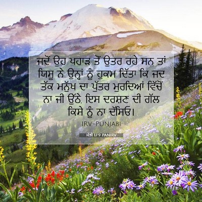 Picture 07 - ਮੱਤੀ 17:9 PANIRV - ਜਦੋਂ ਉਹ ਪਹਾੜ ਤੋਂ - Bible Verse Picture