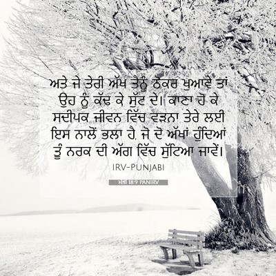 Picture 07 - ਮੱਤੀ 18:9 PANIRV - ਅਤੇ ਜੇ ਤੇਰੀ ਅੱਖ - Bible Verse Picture