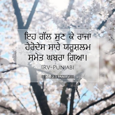 Picture 07 - ਮੱਤੀ 2:3 PANIRV - ਇਹ ਗੱਲ ਸੁਣ ਕੇ ਰਾਜਾ - Bible Verse Picture
