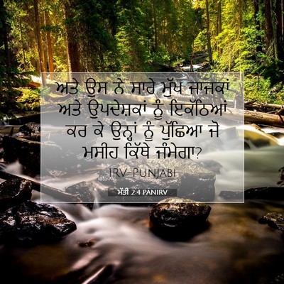 Picture 07 - ਮੱਤੀ 2:4 PANIRV - ਅਤੇ ਉਸ ਨੇ ਸਾਰੇ ਮੁੱਖ - Bible Verse Picture