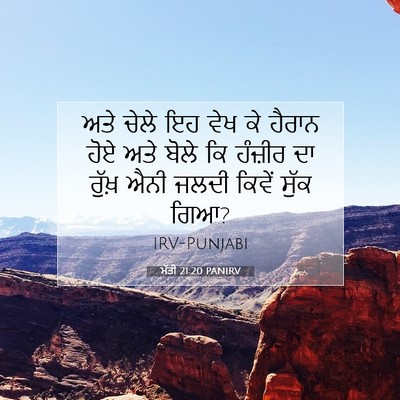 Picture 07 - ਮੱਤੀ 21:20 PANIRV - ਅਤੇ ਚੇਲੇ ਇਹ ਵੇਖ ਕੇ - Bible Verse Picture