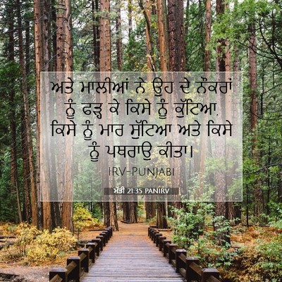 Picture 07 - ਮੱਤੀ 21:35 PANIRV - ਅਤੇ ਮਾਲੀਆਂ ਨੇ ਉਹ ਦੇ - Bible Verse Picture