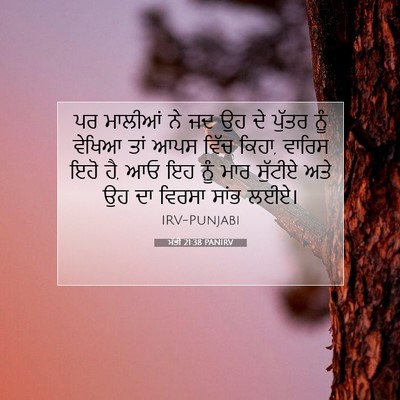 Picture 07 - ਮੱਤੀ 21:38 PANIRV - ਪਰ ਮਾਲੀਆਂ ਨੇ ਜਦ ਉਹ - Bible Verse Picture