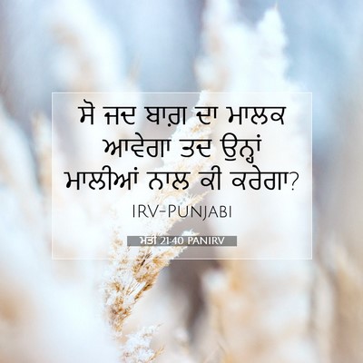 Picture 07 - ਮੱਤੀ 21:40 PANIRV - ਸੋ ਜਦ ਬਾਗ਼ ਦਾ ਮਾਲਕ - Bible Verse Picture