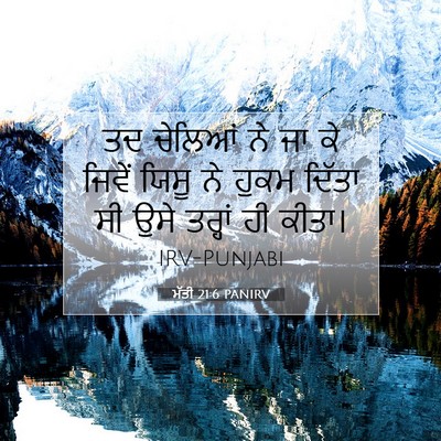 Picture 07 - ਮੱਤੀ 21:6 PANIRV - ਤਦ ਚੇਲਿਆਂ ਨੇ ਜਾ ਕੇ - Bible Verse Picture
