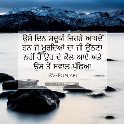 Picture 07 - ਮੱਤੀ 22:23 PANIRV - ਉਸੇ ਦਿਨ ਸਦੂਕੀ - Bible Verse Picture