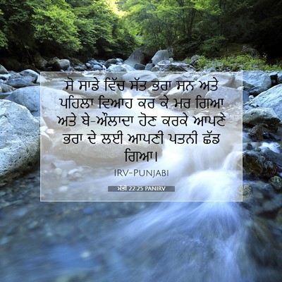 Picture 07 - ਮੱਤੀ 22:25 PANIRV - ਸੋ ਸਾਡੇ ਵਿੱਚ ਸੱਤ - Bible Verse Picture