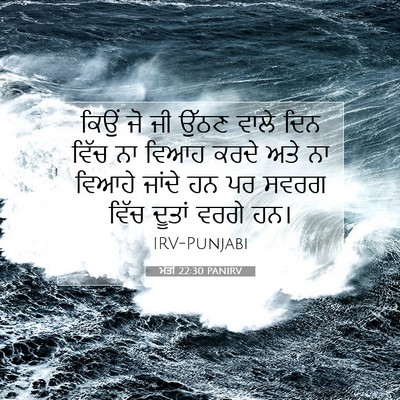 Picture 07 - ਮੱਤੀ 22:30 PANIRV - ਕਿਉਂ ਜੋ ਜੀ ਉੱਠਣ - Bible Verse Picture