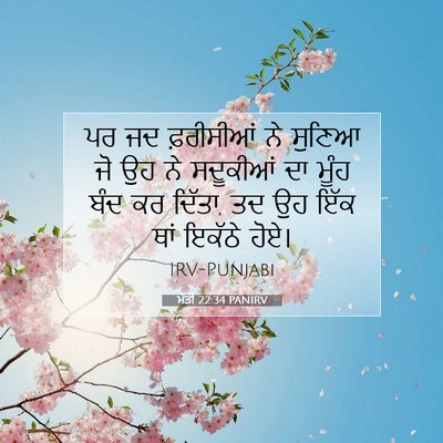 Picture 07 - ਮੱਤੀ 22:34 PANIRV - ਪਰ ਜਦ ਫ਼ਰੀਸੀਆਂ ਨੇ - Bible Verse Picture