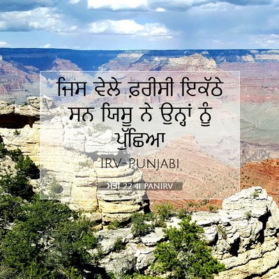 Picture 07 - ਮੱਤੀ 22:41 PANIRV - ਜਿਸ ਵੇਲੇ ਫ਼ਰੀਸੀ - Bible Verse Picture