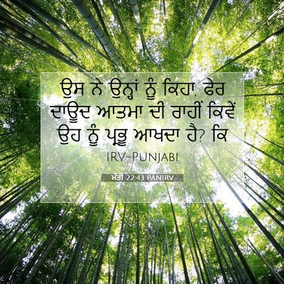 Picture 07 - ਮੱਤੀ 22:43 PANIRV - ਉਸ ਨੇ ਉਨ੍ਹਾਂ ਨੂੰ - Bible Verse Picture