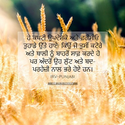 Picture 07 - ਮੱਤੀ 23:25 PANIRV - ਹੇ ਕਪਟੀ ਉਪਦੇਸ਼ਕੋ - Bible Verse Picture