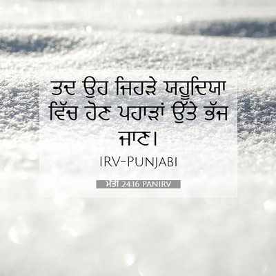 Picture 07 - ਮੱਤੀ 24:16 PANIRV - ਤਦ ਉਹ ਜਿਹੜੇ - Bible Verse Picture