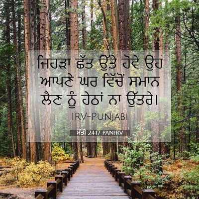 Picture 07 - ਮੱਤੀ 24:17 PANIRV - ਜਿਹੜਾ ਛੱਤ ਉੱਤੇ - Bible Verse Picture