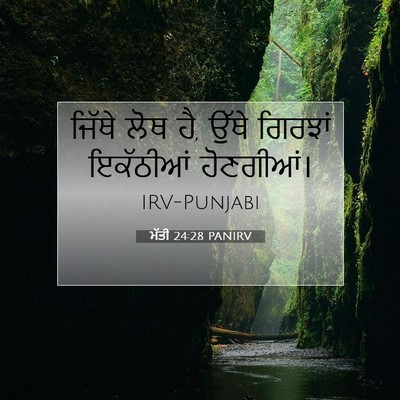 Picture 07 - ਮੱਤੀ 24:28 PANIRV - ਜਿੱਥੇ ਲੋਥ ਹੈ, ਉੱਥੇ - Bible Verse Picture
