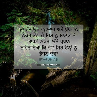 Picture 07 - ਮੱਤੀ 24:45 PANIRV - ਉਪਰੰਤ ਉਹ ਵਫ਼ਾਦਾਰ - Bible Verse Picture