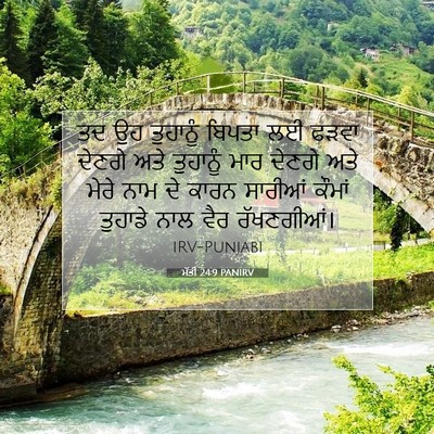 Picture 07 - ਮੱਤੀ 24:9 PANIRV - ਤਦ ਉਹ ਤੁਹਾਨੂੰ - Bible Verse Picture