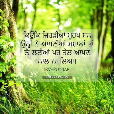 Picture 07 - ਮੱਤੀ 25:3 PANIRV - ਕਿਉਂਕਿ ਜਿਹੜੀਆਂ - Bible Verse Picture
